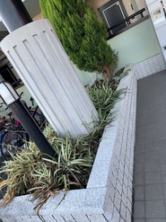 プレステージⅢ 花壇整備